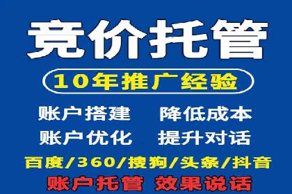 实战解析：百度竞价排名服务成功案例